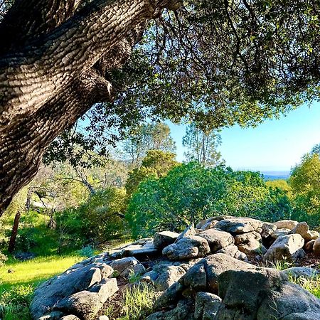 Emerald Ranch Of Yosemite Villa Coarsegold Ngoại thất bức ảnh