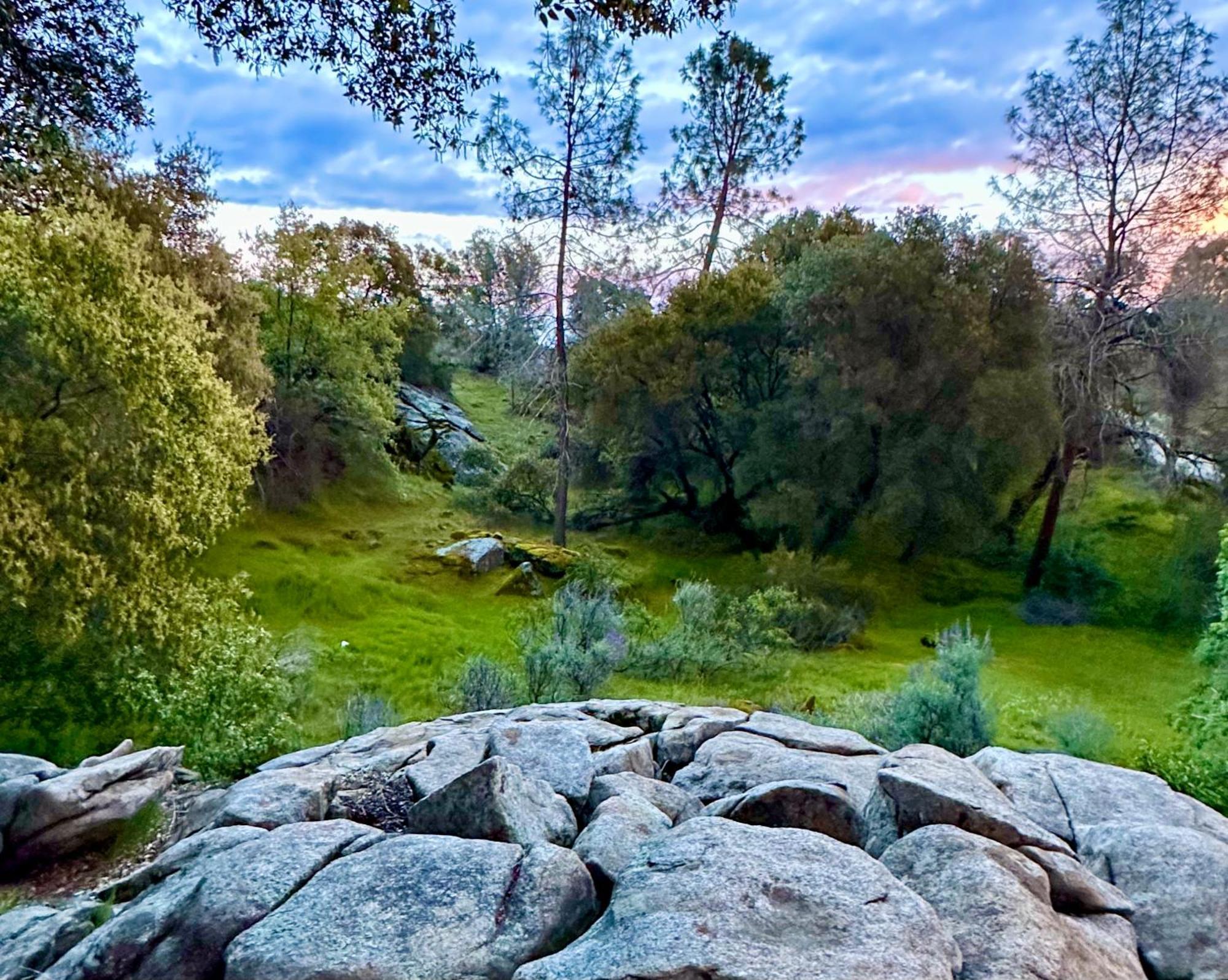 Emerald Ranch Of Yosemite Villa Coarsegold Ngoại thất bức ảnh