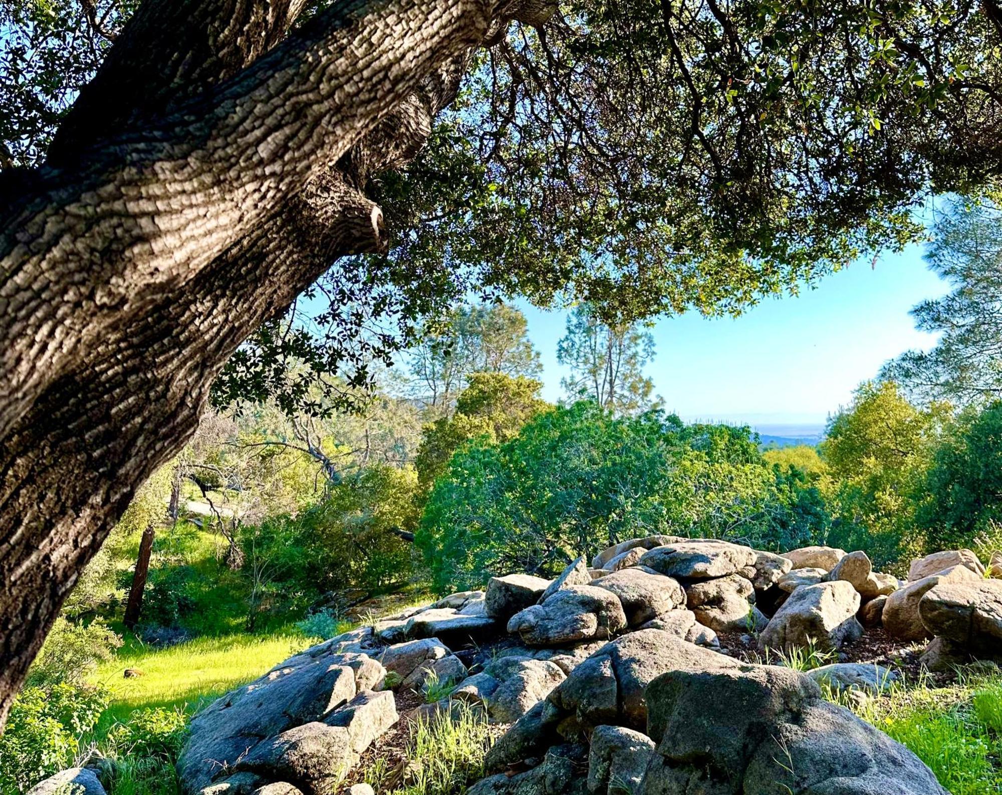 Emerald Ranch Of Yosemite Villa Coarsegold Ngoại thất bức ảnh
